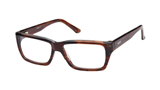 Kubni Glossy Wayfarer Style Tortoise