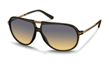 Rodenstock Classic Bronze Aviator