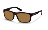Rodenstock Dark Havana Acetate Unisex Sunglasses